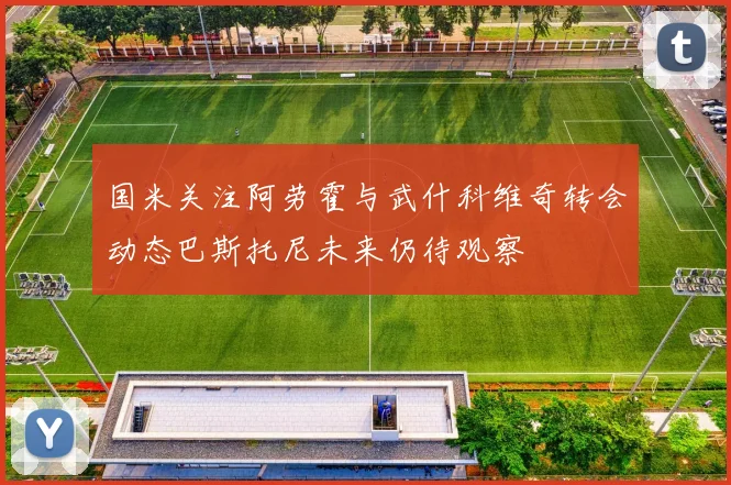 国米关注阿劳霍与武什科维奇转会动态巴斯托尼未来仍待观察