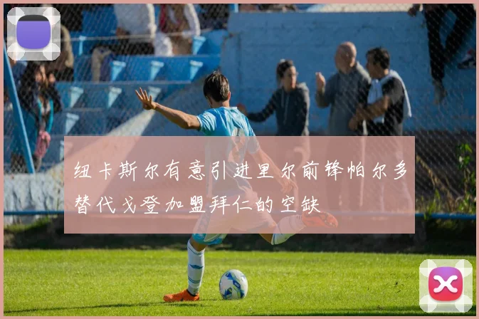纽卡斯尔有意引进里尔前锋帕尔多替代戈登加盟拜仁的空缺